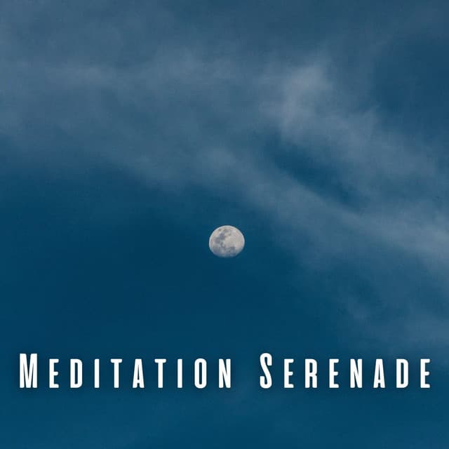 Meditation Serenade: Soothing Rain Sounds for Blissful Sleep - Meditation Playlist