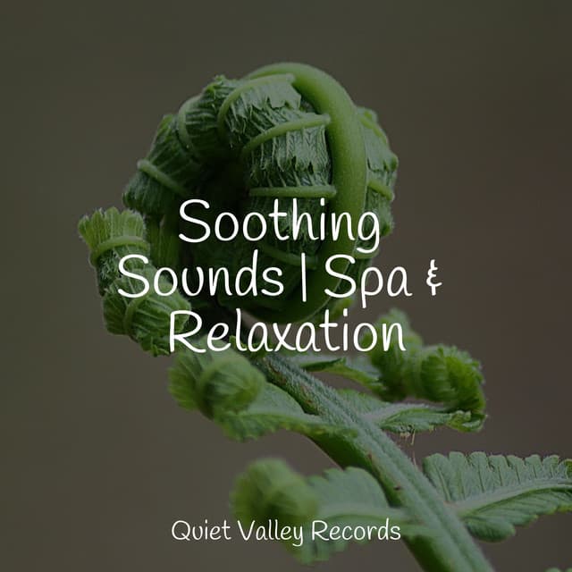 Soothing Sounds | Spa & Relaxation - Lightning