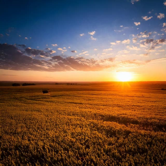 Evening Calm with Soothing Relaxing Music - Elevator Music