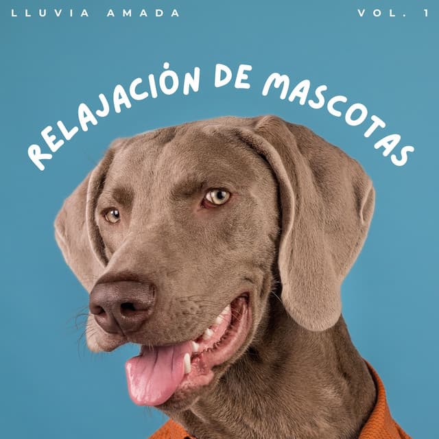 Relajación De Mascotas: Lluvia Amada Vol. 1 - Frutas de lluvia