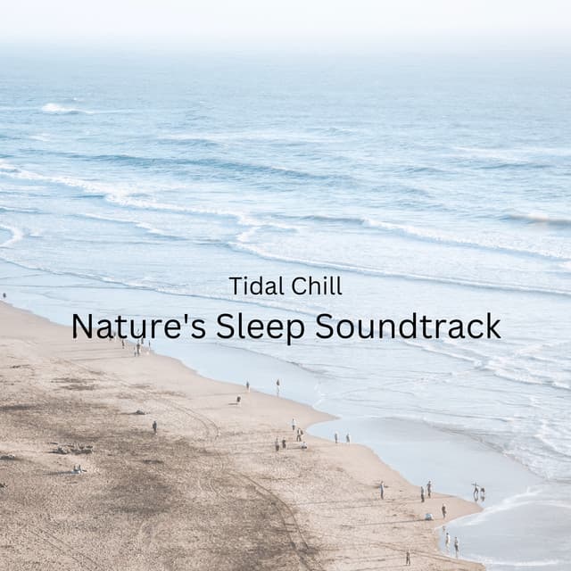Tidal Chill: Nature's Sleep Soundtrack - Afternoon Chill Out