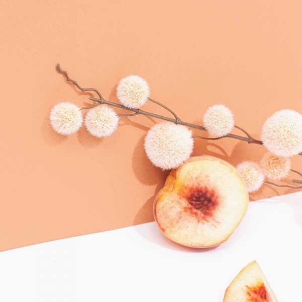 Music for Laid Back Overtones - Deluxe Jazz Quintet - Musica del lobby del Hotel