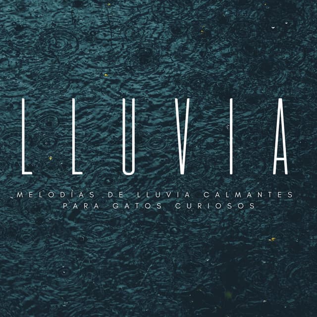 Relájate Felino: Melodías De Lluvia Calmantes Para Gatos Curiosos - Lluvia del Pacifico