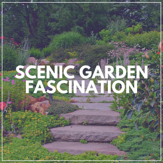 Scenic Garden Fascination - Swedish Forest Birds