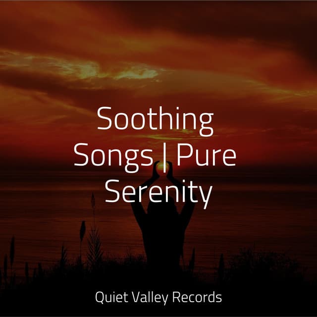 Soothing Songs | Pure Serenity - Calming Rainforest Sounds