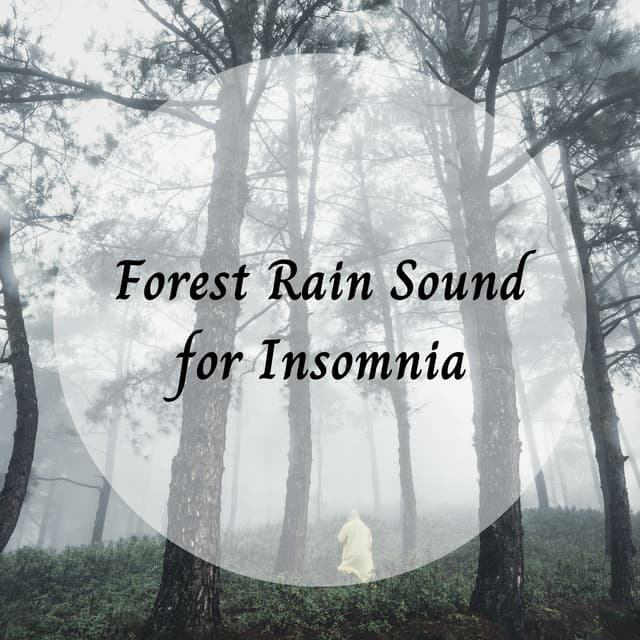 Forest Rain Sound for Insomnia - rainstantly