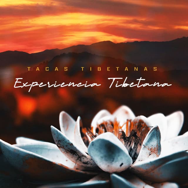 Experiencia Tibetana - Taças Tibetanas