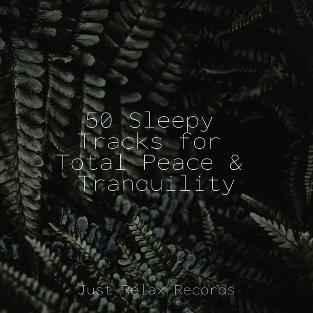 50 Sleepy Tracks for Total Peace & Tranquility - Instrumental