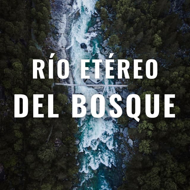 Río Etéreo Del Bosque - Sonidos naturales del bosque