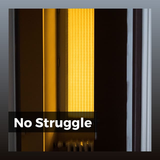 No Struggle - Meditative Music Guru
