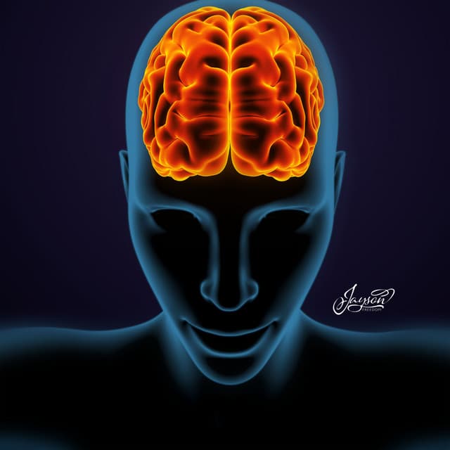 Activation of the Cerebral Cortex - Jayson Freedom