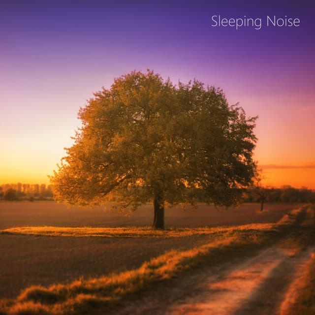 Focusing Sleep White Noise Looped - No Fade Noise