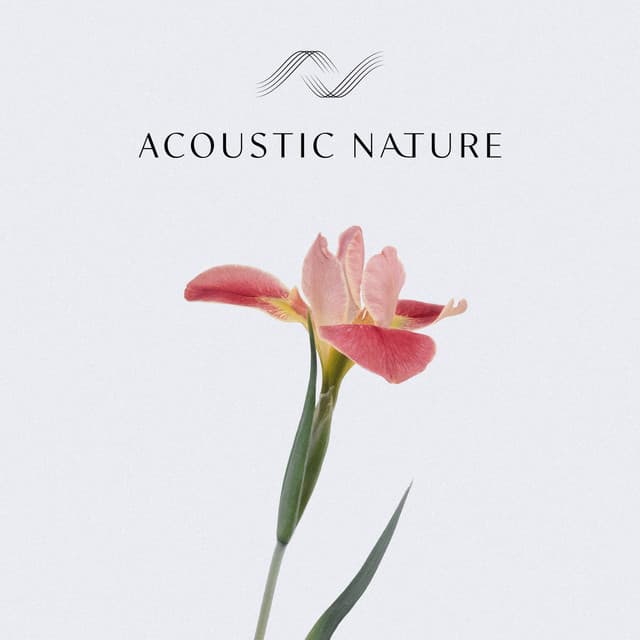 Acoustic Nature - Christopher Salt