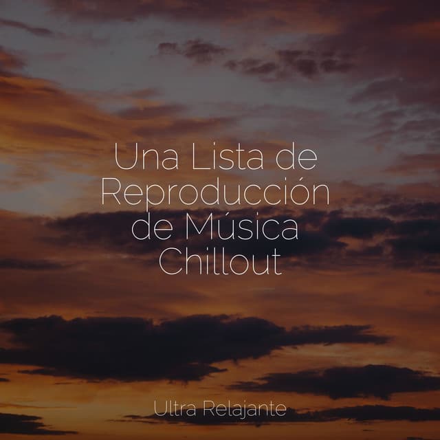 Una Lista de Reproducción de Música Chillout - Música Relajante para Perros