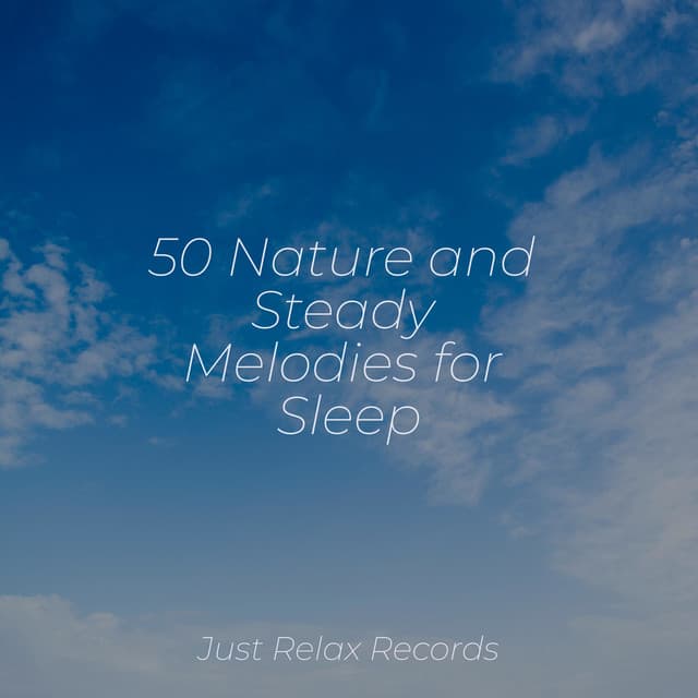 50 Nature and Steady Melodies for Sleep - Reiki Music