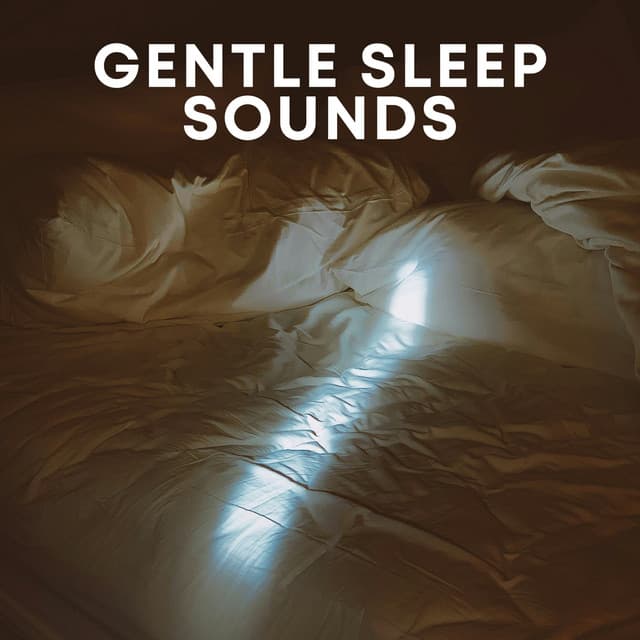 Gentle Sleep Sounds - Sleepy Mood
