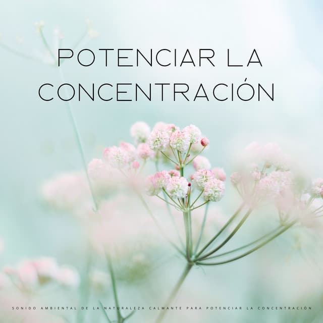 Sonido Ambiental De La Naturaleza Calmante Para Potenciar La Concentración - Música ambiental relajante
