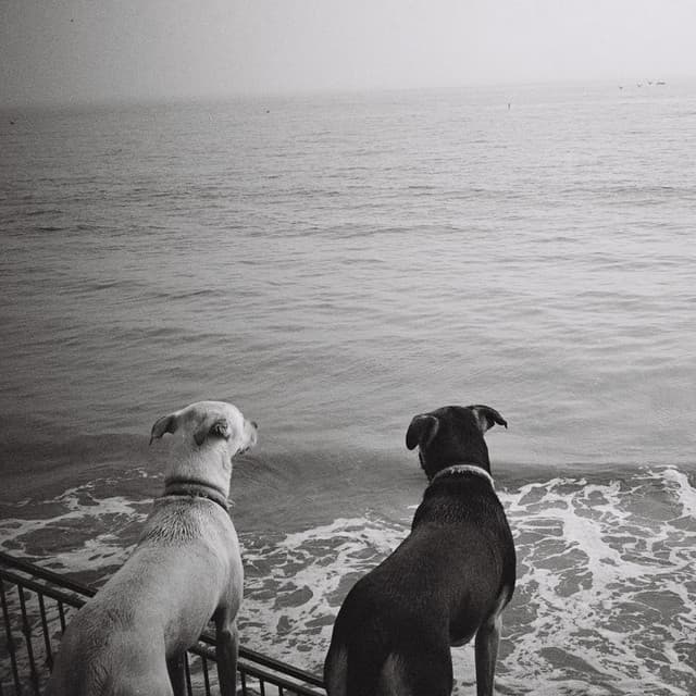 Death, Infinity and Zero - Armen Nalbandian