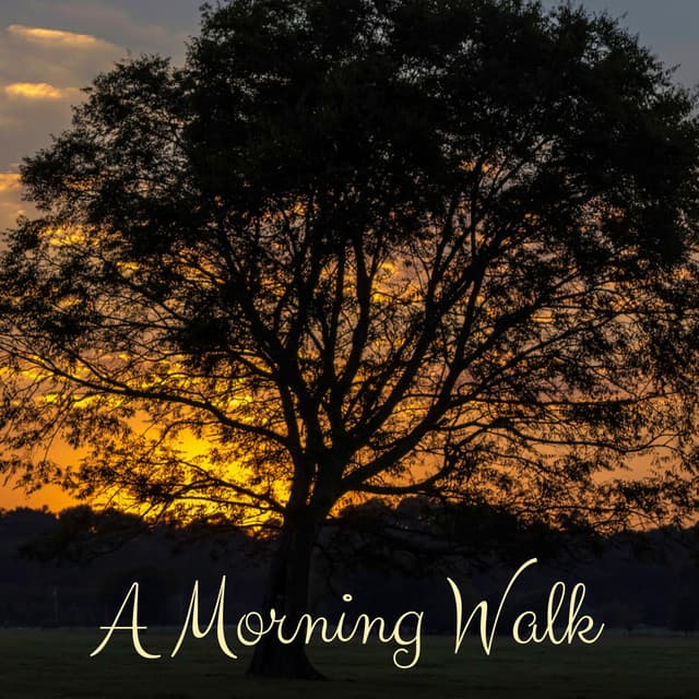 A Morning Walk - Granular
