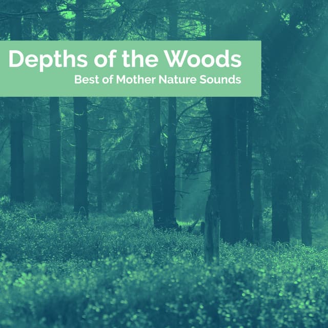 Depths of the Woods - Best of Mother Nature Sounds