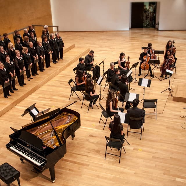 Soothing Orchestra Sounds for Sleep - josegarcia