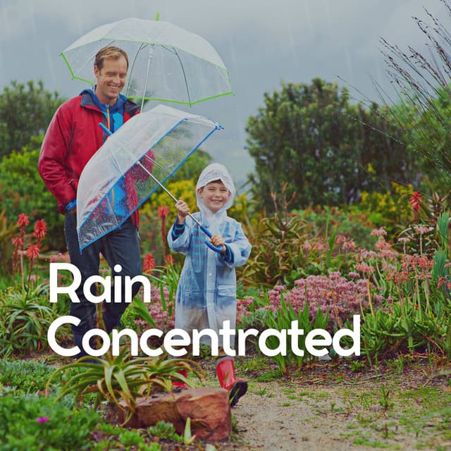 Rain Concentrated - Sons da natureza HD