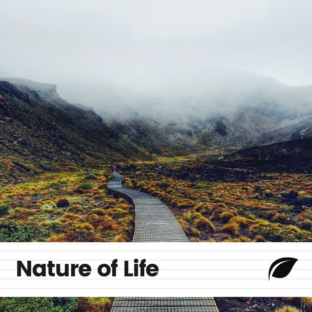 Nature of Life - Weather and Nature Recordings