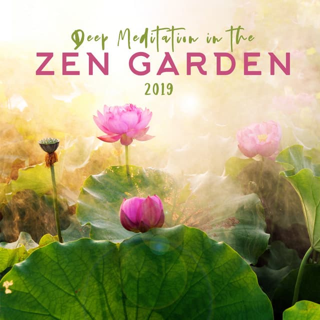Deep Meditation in the Zen Garden 2019 - Spiritual Power Control