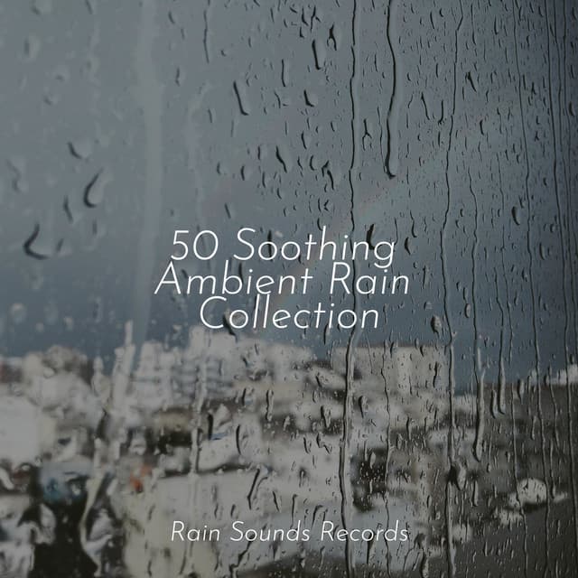 50 Soothing Ambient Rain Collection - Chillout Lounge