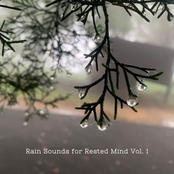 Rain Sounds for Rested Mind Vol. 1 - Nature Hiker