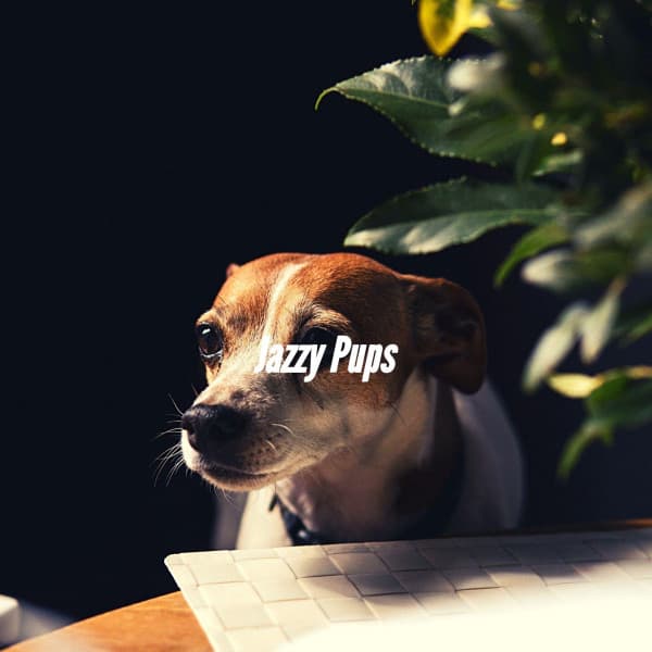 Jazzy Pups - Doggy Music Radio