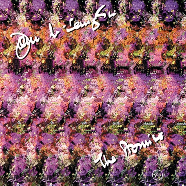 The Promise - John McLaughlin