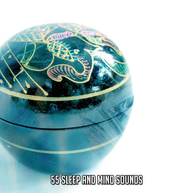 55 Sleep And Mind Sounds - Asian Zen: Spa Music Meditation