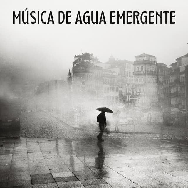 Música De Agua Emergente - Palacio de la lluvia