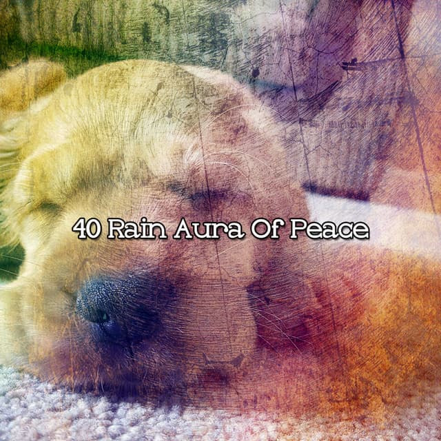 40 Rain Aura Of Peace - Rain Storm Sounds