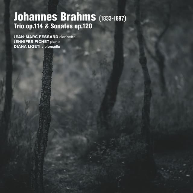 Brahms: Trio Op. 114, Sonates Op. 120 - Johannes Brahms