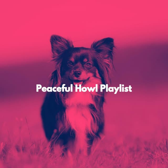 Peaceful Howl Playlist - Musica Relajante para Perros Momentos