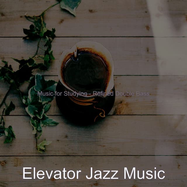Music for Studying - Refined Double Bass - Elevator Jazz Music