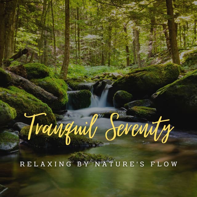 Stream's Tranquil Serenity: Relaxing by Nature's Flow - Calm Water Sounds