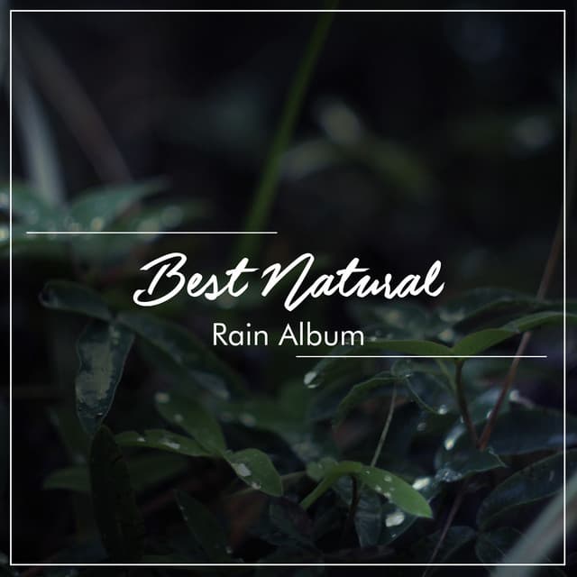 11 Rain Sounds to Induce Deep and Relaxation - Natural Rain Sounds for Sleeping