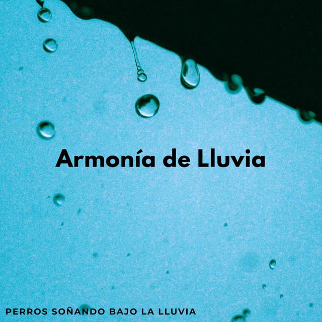 Armonía De Lluvia: Perros Soñando Bajo La Lluvia - Cara de lluvia
