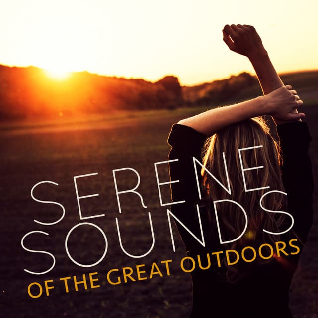 Serene Sounds of the Great Outdoors - Nature Sounds Relaxing