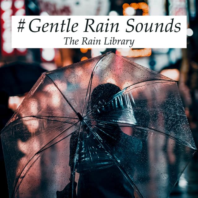 #Gentle Rain Sounds - The Rain Library