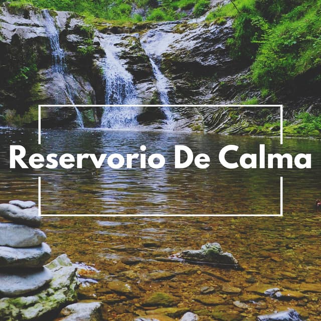 Reservorio De Calma - Sonidos de agua Ruido blanco natural