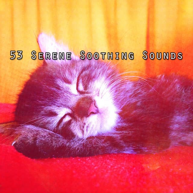 53 Serene Soothing Sounds - Best Relaxing Music
