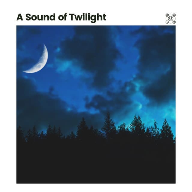 A Sound of Twilight - The Nature Soundscapes