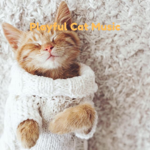 Playful Cat Music - Pet Music Therapy