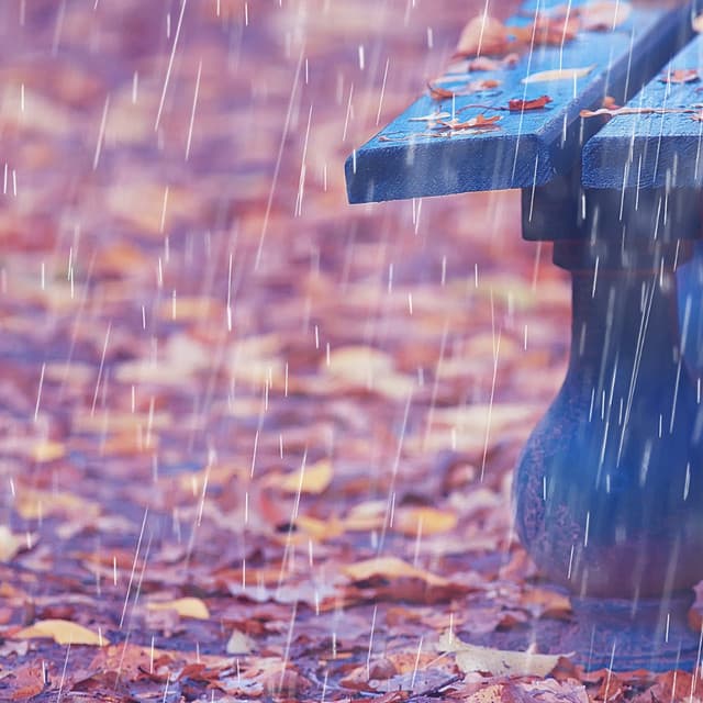 Theta Waves, Rain Serenity Escape - Enjoyable Rain Sleep Sound