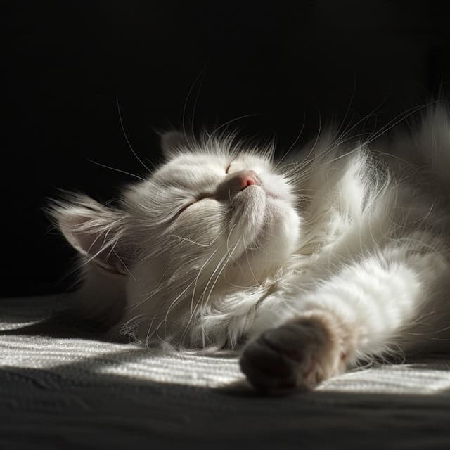 Canciones De Cuna Para Gatos Con Música Ambiental: Delicias Para Un Sueño Sereno - Gato Somnoliento