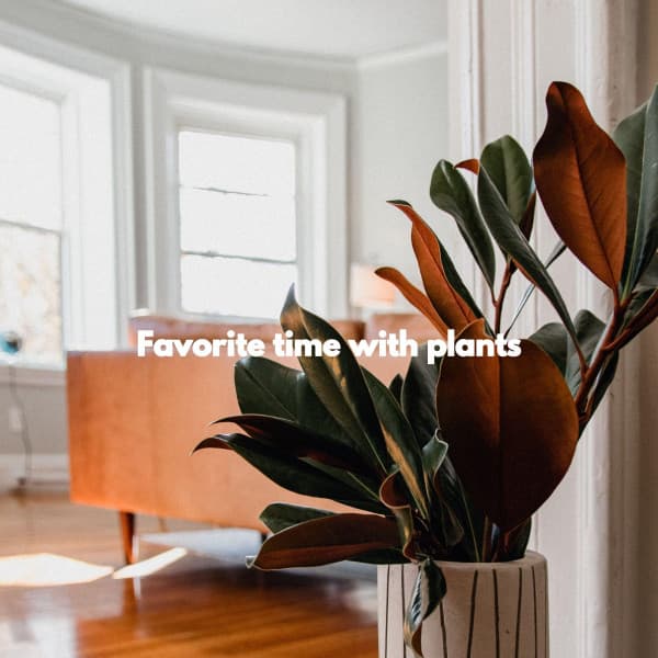 Favorite time with plants - Boutique Hotel Music